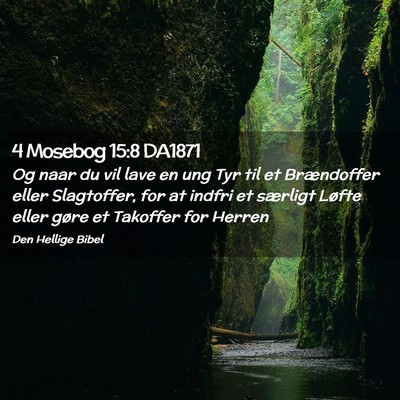 Picture 02 - 4 Mosebog 15:8 DA1871 - Og naar du vil lave en ung Tyr til et Brændoffer - Bible Verse Picture
