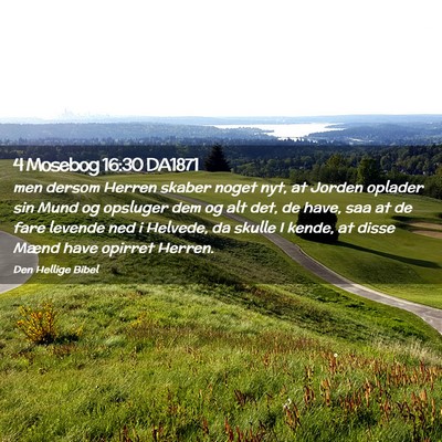 Picture 02 - 4 Mosebog 16:30 DA1871 - men dersom Herren skaber noget nyt, at Jorden - Bible Verse Picture