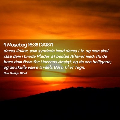 Picture 02 - 4 Mosebog 16:38 DA1871 - deres Ildkar, som syndede imod deres Liv, og man - Bible Verse Picture