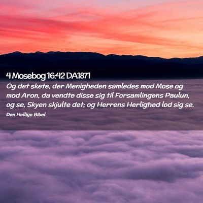 Picture 02 - 4 Mosebog 16:42 DA1871 - Og det skete, der Menigheden samledes mod Mose og - Bible Verse Picture
