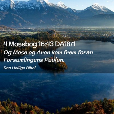 Picture 02 - 4 Mosebog 16:43 DA1871 - Og Mose og Aron kom frem foran Forsamlingens - Bible Verse Picture