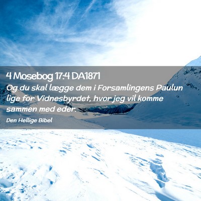 Picture 02 - 4 Mosebog 17:4 DA1871 - Og du skal lægge dem i Forsamlingens Paulun lige - Bible Verse Picture