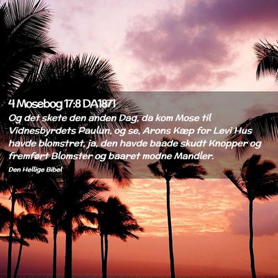 Picture 02 - 4 Mosebog 17:8 DA1871 - Og det skete den anden Dag, da kom Mose til - Bible Verse Picture