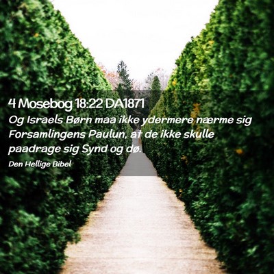 Picture 02 - 4 Mosebog 18:22 DA1871 - Og Israels Børn maa ikke ydermere nærme sig - Bible Verse Picture
