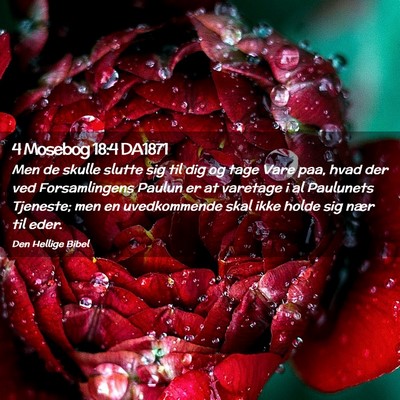 Picture 02 - 4 Mosebog 18:4 DA1871 - Men de skulle slutte sig til dig og tage Vare - Bible Verse Picture