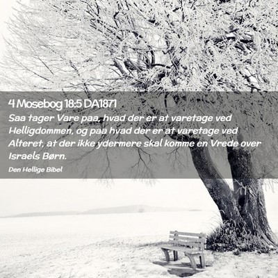 Picture 02 - 4 Mosebog 18:5 DA1871 - Saa tager Vare paa, hvad der er at varetage ved - Bible Verse Picture