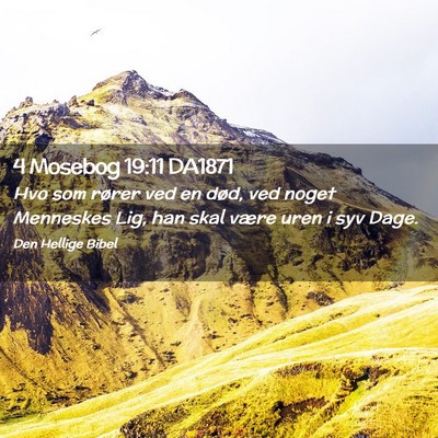 Picture 02 - 4 Mosebog 19:11 DA1871 - Hvo som rører ved en død, ved noget Menneskes - Bible Verse Picture