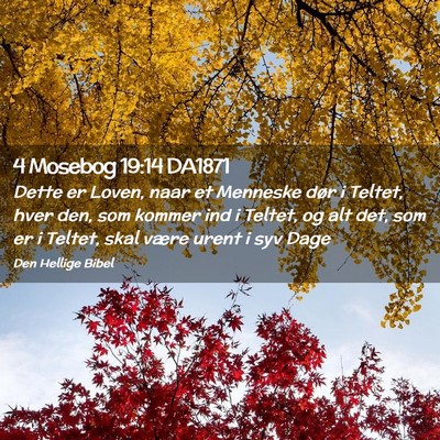 Picture 02 - 4 Mosebog 19:14 DA1871 - Dette er Loven, naar et Menneske dør i Teltet, - Bible Verse Picture