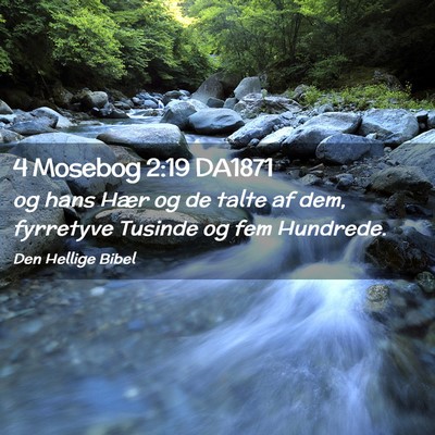 Picture 02 - 4 Mosebog 2:19 DA1871 - og hans Hær og de talte af dem, fyrretyve - Bible Verse Picture