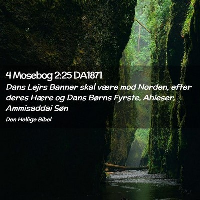 Picture 02 - 4 Mosebog 2:25 DA1871 - Dans Lejrs Banner skal være mod Norden, efter - Bible Verse Picture