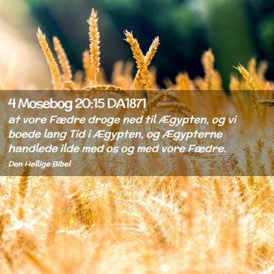 Picture 02 - 4 Mosebog 20:15 DA1871 - at vore Fædre droge ned til Ægypten, og vi - Bible Verse Picture