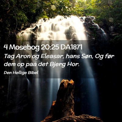 Picture 02 - 4 Mosebog 20:25 DA1871 - Tag Aron og Eleasar, hans Søn, Og før dem op - Bible Verse Picture