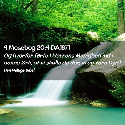 Picture 02 - 4 Mosebog 20:4 DA1871 - Og hvorfor førte I Herrens Menighed ind i denne - Bible Verse Picture