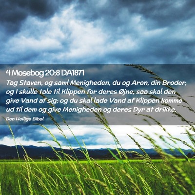 Picture 02 - 4 Mosebog 20:8 DA1871 - Tag Staven, og saml Menigheden, du og Aron, din - Bible Verse Picture