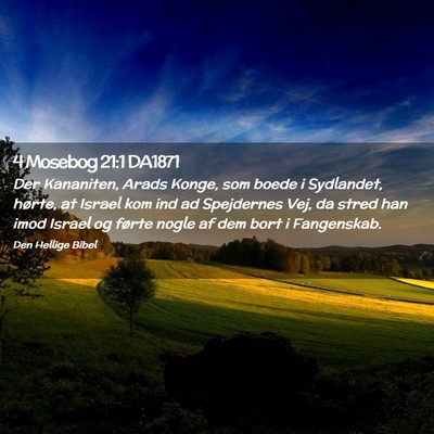 Picture 02 - 4 Mosebog 21:1 DA1871 - Der Kananiten, Arads Konge, som boede i - Bible Verse Picture