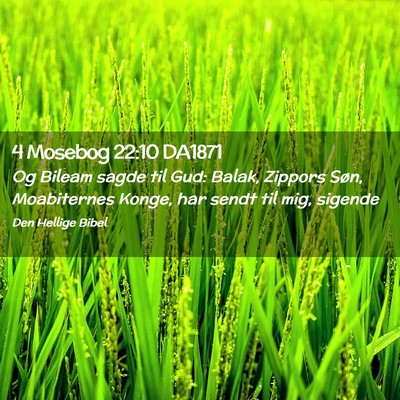 Picture 02 - 4 Mosebog 22:10 DA1871 - Og Bileam sagde til Gud: Balak, Zippors Søn, - Bible Verse Picture