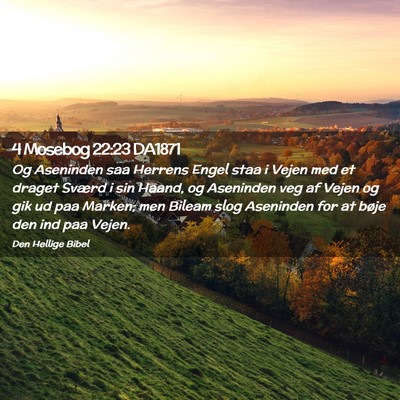 Picture 02 - 4 Mosebog 22:23 DA1871 - Og Aseninden saa Herrens Engel staa i Vejen med - Bible Verse Picture