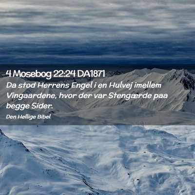 Picture 02 - 4 Mosebog 22:24 DA1871 - Da stod Herrens Engel i en Hulvej imellem - Bible Verse Picture