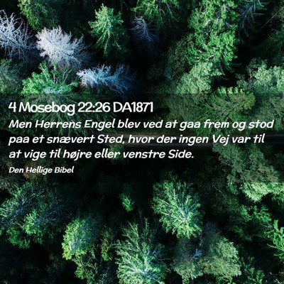 Picture 02 - 4 Mosebog 22:26 DA1871 - Men Herrens Engel blev ved at gaa frem og stod - Bible Verse Picture
