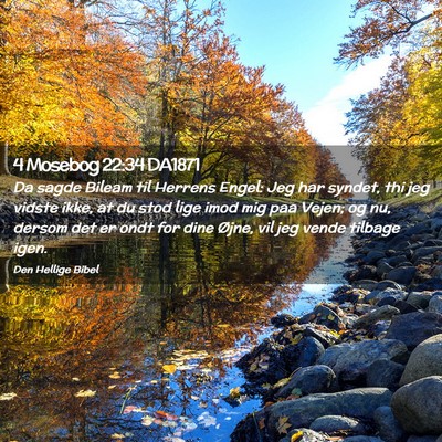 Picture 02 - 4 Mosebog 22:34 DA1871 - Da sagde Bileam til Herrens Engel: Jeg har - Bible Verse Picture