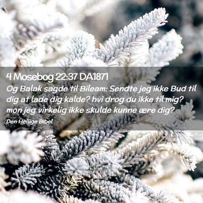 Picture 02 - 4 Mosebog 22:37 DA1871 - Og Balak sagde til Bileam: Sendte jeg ikke Bud - Bible Verse Picture