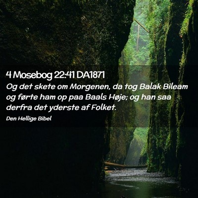 Picture 02 - 4 Mosebog 22:41 DA1871 - Og det skete om Morgenen, da tog Balak Bileam og - Bible Verse Picture