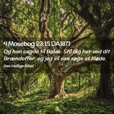 Picture 02 - 4 Mosebog 23:15 DA1871 - Og han sagde til Balak: Stil dig her ved dit - Bible Verse Picture