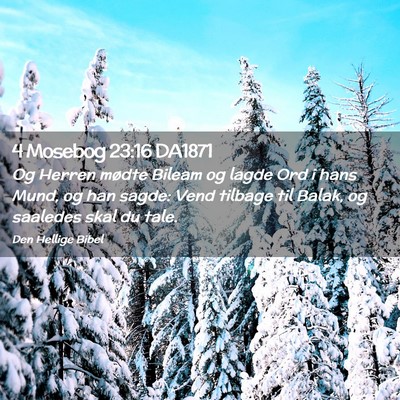 Picture 02 - 4 Mosebog 23:16 DA1871 - Og Herren mødte Bileam og lagde Ord i hans Mund, - Bible Verse Picture