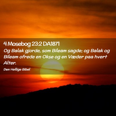 Picture 02 - 4 Mosebog 23:2 DA1871 - Og Balak gjorde, som Bileam sagde; og Balak og - Bible Verse Picture