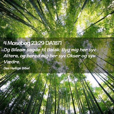 Picture 02 - 4 Mosebog 23:29 DA1871 - Og Bileam sagde til Balak: Byg mig her syv - Bible Verse Picture