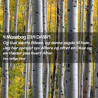 Picture 02 - 4 Mosebog 23:4 DA1871 - Og Gud mødte Bileam, og denne sagde til ham: Jeg - Bible Verse Picture