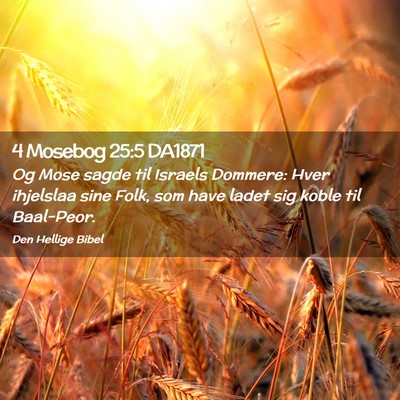 Picture 02 - 4 Mosebog 25:5 DA1871 - Og Mose sagde til Israels Dommere: Hver ihjelslaa - Bible Verse Picture