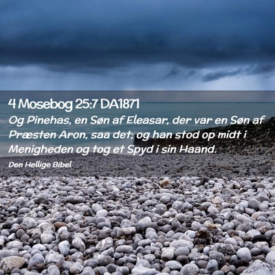 Picture 02 - 4 Mosebog 25:7 DA1871 - Og Pinehas, en Søn af Eleasar, der var en Søn - Bible Verse Picture