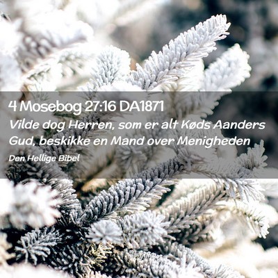 Picture 02 - 4 Mosebog 27:16 DA1871 - Vilde dog Herren, som er alt Køds Aanders Gud, - Bible Verse Picture