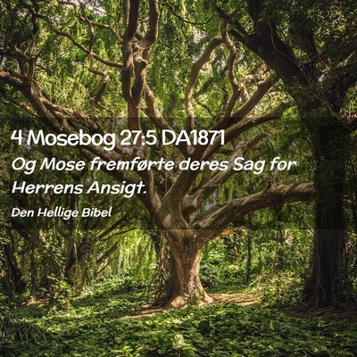 Picture 02 - 4 Mosebog 27:5 DA1871 - Og Mose fremførte deres Sag for Herrens - Bible Verse Picture