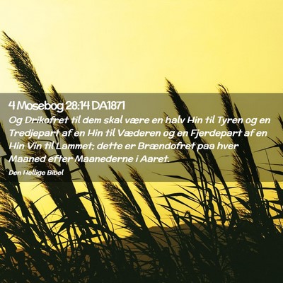 Picture 02 - 4 Mosebog 28:14 DA1871 - Og Drikofret til dem skal være en halv Hin til - Bible Verse Picture