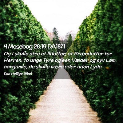Picture 02 - 4 Mosebog 28:19 DA1871 - Og I skulle ofre et Ildoffer, et Brændoffer for - Bible Verse Picture
