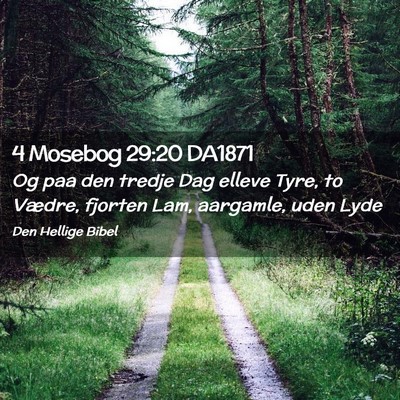 Picture 02 - 4 Mosebog 29:20 DA1871 - Og paa den tredje Dag elleve Tyre, to Vædre, - Bible Verse Picture