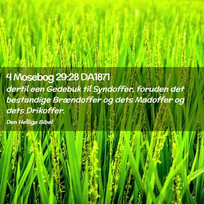 Picture 02 - 4 Mosebog 29:28 DA1871 - dertil een Gedebuk til Syndoffer, foruden det - Bible Verse Picture
