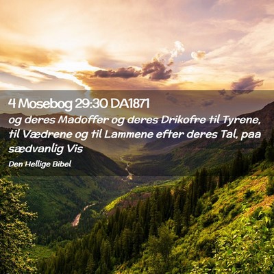 Picture 02 - 4 Mosebog 29:30 DA1871 - og deres Madoffer og deres Drikofre til Tyrene, - Bible Verse Picture