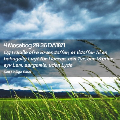 Picture 02 - 4 Mosebog 29:36 DA1871 - Og I skulle ofre Brændoffer, et Ildoffer til en - Bible Verse Picture