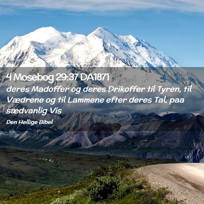 Picture 02 - 4 Mosebog 29:37 DA1871 - deres Madoffer og deres Drikoffer til Tyren, til - Bible Verse Picture