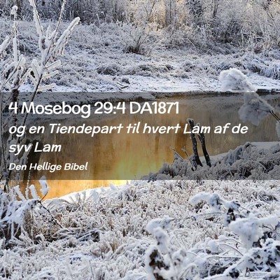 Picture 02 - 4 Mosebog 29:4 DA1871 - og en Tiendepart til hvert Lam af de syv - Bible Verse Picture