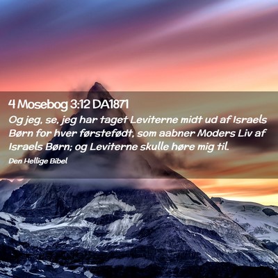 Picture 02 - 4 Mosebog 3:12 DA1871 - Og jeg, se, jeg har taget Leviterne midt ud af - Bible Verse Picture