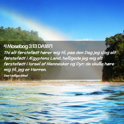 Picture 02 - 4 Mosebog 3:13 DA1871 - Thi alt førstefødt hører mig til, paa den Dag - Bible Verse Picture