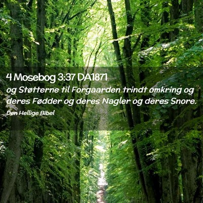 Picture 02 - 4 Mosebog 3:37 DA1871 - og Støtterne til Forgaarden trindt omkring og - Bible Verse Picture