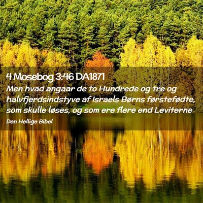 Picture 02 - 4 Mosebog 3:46 DA1871 - Men hvad angaar de to Hundrede og tre og - Bible Verse Picture