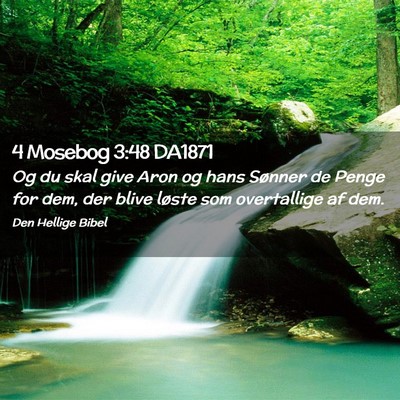 Picture 02 - 4 Mosebog 3:48 DA1871 - Og du skal give Aron og hans Sønner de Penge for - Bible Verse Picture