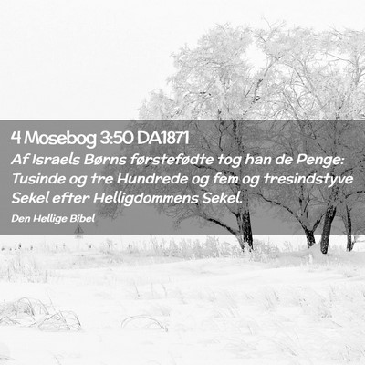 Picture 02 - 4 Mosebog 3:50 DA1871 - Af Israels Børns førstefødte tog han de Penge: - Bible Verse Picture