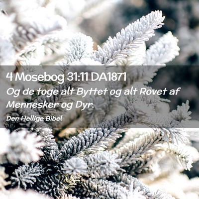 Picture 02 - 4 Mosebog 31:11 DA1871 - Og de toge alt Byttet og alt Rovet af Mennesker - Bible Verse Picture
